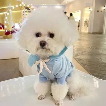 Толстовка с капюшоном для домашних животных, милая удобная одежда, двусторонняя шляпа с цветочным принтом, толстовка с капюшоном