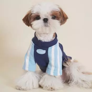Толстовка с капюшоном для домашних животных, спортивная куртка для осени и зимы, шнауцер, медведь, мальцис, толстовка с капюшоном для маленьких собак, одежда для щенков, одежда для собак маленьких собак XS