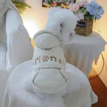 Толстовка с капюшоном и карманом для питомца, симпатичное пальто на осень и зиму, одежда для кошек с плюшевой толстой толстовкой, одежда для щенков XS