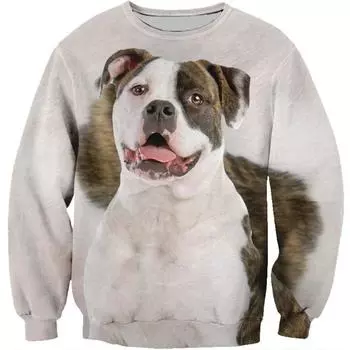 Толстовка с капюшоном с изображением шетландской овчарки, померанского шпица, мужская, с длинными рукавами, весна-осень, круглый вырез, пуловеры с изображением домашних животных и собак S