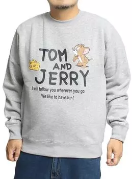 Толстовка TOM AND JERRY, большой размер, флисовая спинка, принт, персонаж, круглый вырез, толстовка, 3 л, серая [один цвет], мужская (29) серый