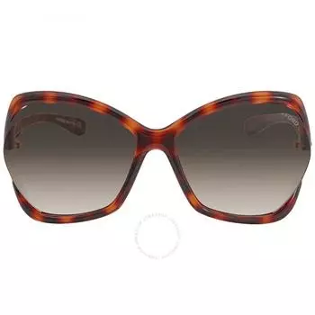 Tom Ford Astrid Gradient Roviex Butterfly Ladies Sunglasses FT0579 53K 61