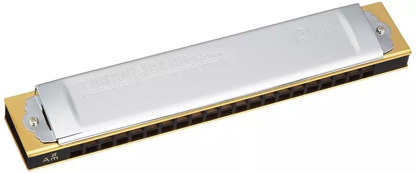 ТОМБО двухнотная губная гармошка, специальный стрекозиный оркестр, 21 отверстие, 1521 A#m