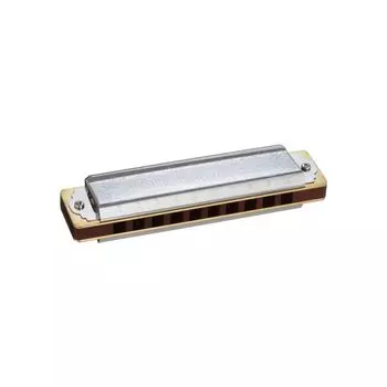 Tombo TOMBO Harmonica in Folk Blues Mark II 1210 10-Hole G, серебряный