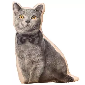 TOMMYFIELD Pomeranian Plush Toy Goods Dog Plush Toy Realistic Healing Fluffy 3D (Cat B) [Product]