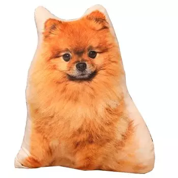 TOMMYFIELD Pomeranian Plush Toy Goods Dog Plush Toy Realistic Healing Fluffy 3D (Pomeranian) [Product]
