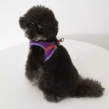 Тонкая шлейка в клетку Real Pet Dog, фиолетовая