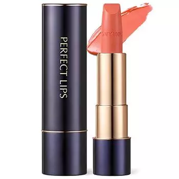Tony Moly Perfect Rouge Intense Lipstick 3.5g, 02 Shine Coral, 1 piece