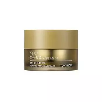 TONYMOLY From Ganghwa Pure Artemisia Успокаивающий водянистый крем 50 мл