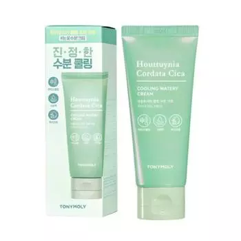 TONYMOLY Houttuynia Cica Охлаждающий увлажняющий крем — 90 мл