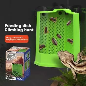 Товары для амфибий Кормушка для рептилий Присоска Подходит для гривистых ящериц львов Dubia Cricket Supplies Reptile Corner Кормушка для рептилий