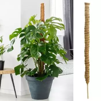 Товары для дома Подставка для вьющихся растений Простая установка Полезный держатель для декоративных растений в горшках своими руками 30cm