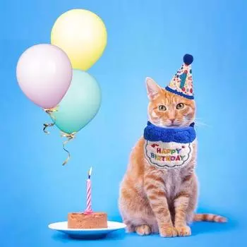 Товары для вечеринки по случаю дня рождения кошки, набор для домашних животных, бандана, шарф, шапка, костюм для домашних животных, аксессуар для кошек и собак розовый