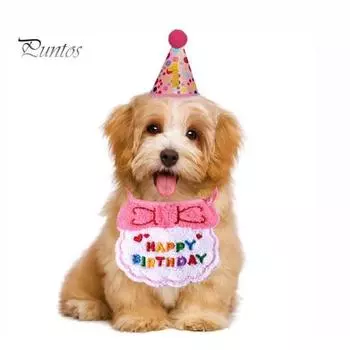 Товары для вечеринки по случаю дня рождения кошки, набор для домашних животных, бандана, шарф, шапка, костюм для домашних животных, аксессуар для кошек и собак синий