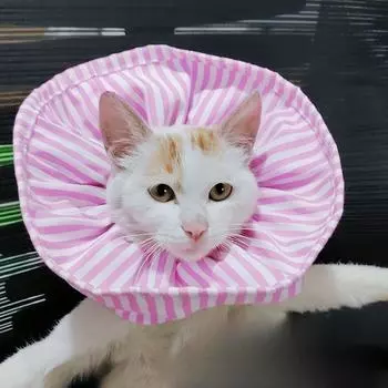 Товары для животных Элизабет Хооп, чехол для шеи, стерилизация, отпугивание насекомых, защита от облизывания кошек и собак, шрамы, необходимые для домашнего использования One size fits all