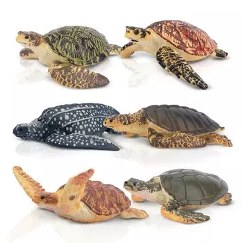 TOYMANY Animal 6PCS Черепаха Морское животное Фигурка Реалистичное животное Черепаха Популярные фигурки на день рождения нового века, фигурки, набор, модель, влюбленные, животные, игрушки,