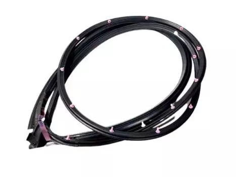 TOYOTA Genuine Surround Weather-Strip - Lexus (67862-30251) Front Door, LH