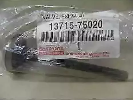 TOYOTA OEM Genuine Valve, Exhaust 13715-75020