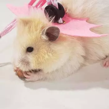 Тяговая веревка для хомяка, веревка против побега и укуса, золотая проволока, мешок с медом, белка-летяга, милый маленький питомец, предмет