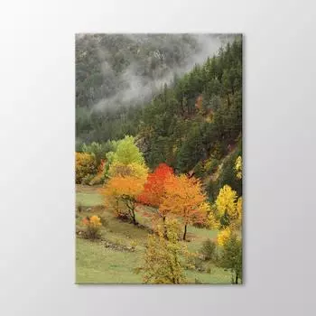 Трабзонская Живопись