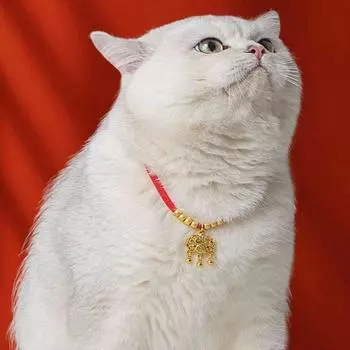 Traditional Pet Weave Longevity Golden Lock Adjustable Handmade Cat Collar For Cats Kitten Puppy M-Red Style A
