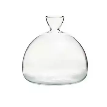 Transparent Japanese Hydroponic Vase Heat Resistant Special Vase Pot Glass Vase Container Desktop style 4