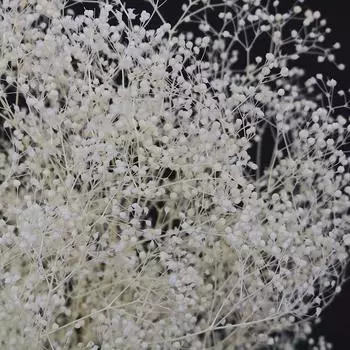 Трава Такеда Касуми белая, большой пучок, длина примерно 350 мм. [40-0312] белый