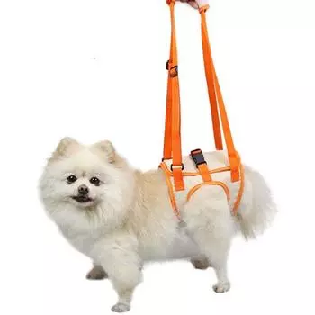 Травмы Собаки Инвалидность Товары для животных Жилет для восстановления питомца Пояс для восстановления собаки Упряжь для поддержки собак S