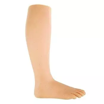 Тренировочные ступни и правая ступня Ширина 9 x Длина 23 x Высота 39 см манекен ступни ноги манекен ступня манекен массаж лечение (левый набор) [Упражняться