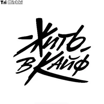 Tri Mishki H1537 Have Fun Автомобильная наклейка виниловые наклейки Светоотражающая наклейка на автомобиль мотоцикл грузовик бампер ноутбук дверь холодильника стена 12x10.6cm -S