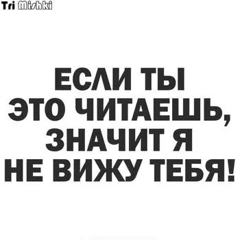 Tri Mishki HZX1050 #30*15 см, если вы это читаете, то я не вижу вас, автомобильная наклейка, виниловые наклейки, наклейка на грузовик, аксессуары, правая дверь