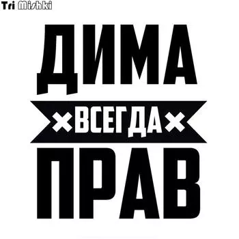 Tri Mishki LBH556 # 15*16 см Дима всегда прав, автомобильная наклейка, забавные виниловые наклейки, аксессуары для мотоциклов, наклейки