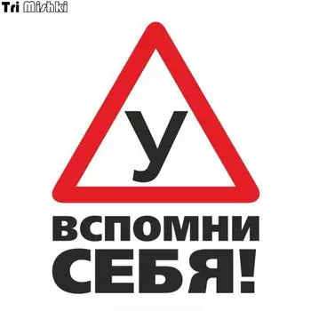Три Мишки WCS566 Предупреждение: Студенты, обучающиеся вождению, вспомни себя! Автомобильная наклейка забавные красочные автомобильные наклейки