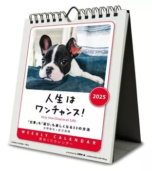 Tri-X Жизнь — это один шанс! Настольный/настенный календарь 2025 CL-383 1814см