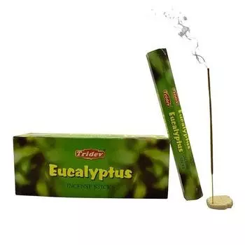Tridev Eucalyptus Agarbatti/Incense Sticks | Hexa Series | Fragrance | Devotional | 6 Pkt * 20Gm for Pooja/Worship