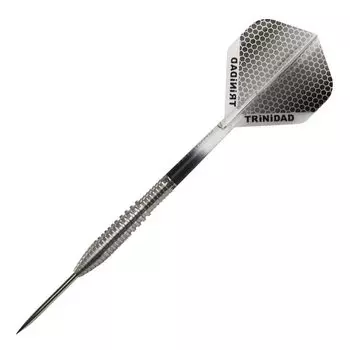 TRiNiDAD PRO Carlos2 Steel Trinidad Pro Carlos2 Steel Yoshinobu Takemoto Модель игрока Darts Barrel