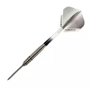 TRiNiDAD PRO Gonzalez4 Trinidad Pro Gonzalez 4 Teppei Nishi Player Модель дротика Ствол сталь СТАЛЬ