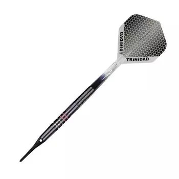TRiNiDAD PRO HUGO 2BA Модель игрока Hugo Leung Trinidad Pro Hugo Darts Barrel Soft