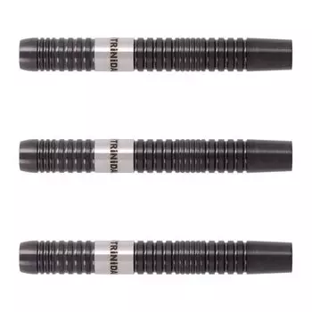TRiNiDAD PRO LAZY 2BA Terumune Matsuyoshi Player Model Dart Barrel Dart Set