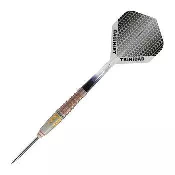 TRiNiDAD PRO ROMAN5 STEEL Модель игрока Мию Мияваки Trinidad Pro Roman 5 Steel серебряный