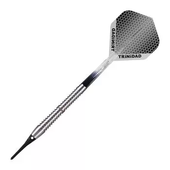 TRiNiDAD PRO Saldivar3 Soft Eikichi Nakanishi Player Design Модель Trinidad Pro Saldivar3 Dart Barrel серебряный