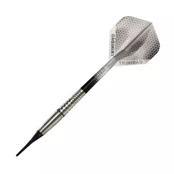 TRiNiDAD PRO Tapia2 Trinidad Pro Tapia2 Мягкая модель игрока Shiori Sato, ствол для дартса серебряный