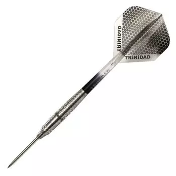 TRiNiDAD PRO ZAMORA3 STEEL Trinidad Pro Zamora 3 Megumi Matsumoto Player Design Модель Darts Barrel Silver tdd1082 серебряный