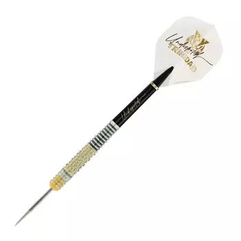 Тринидад Рикардо Сейго Асада модель сталь