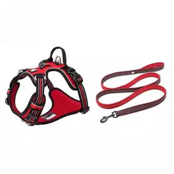 Truelove Pet Harness + Pet Leash Set Rope 110cm/200cm All-in-one Светоотражающая шлейка для собак Не тянет Регулируемые пряжки Прямая поставка XS-LeashLength110CM