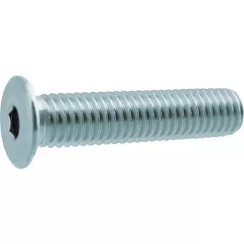 TRUSCO Ultra Low Head SUS Cap Bolt M6E0 5 Pieces Y311-0620