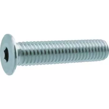 Болт с головкой TRUSCO Ultra Low SUS 5 шт. M620 Y311-0620