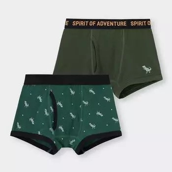 Трусы-боксеры GU BOYS 2P (динозавр)