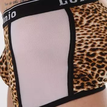 Трусы Боксеры Мужские Леопардовый Принт Нижнее Белье Брюки Выпуклость Линжери Подштанники Шорты L