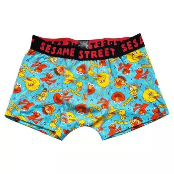 Трусы-боксеры Small Planet Sesame Street Music M
